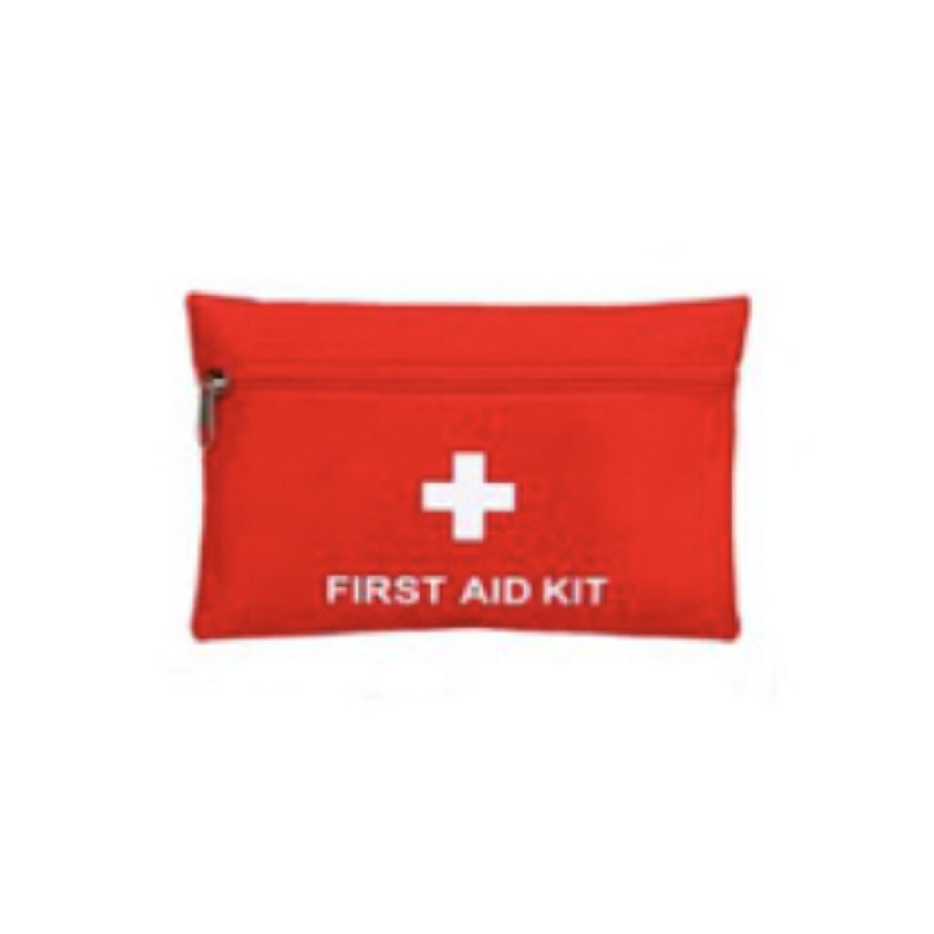 Mini Basic First Aid Kit