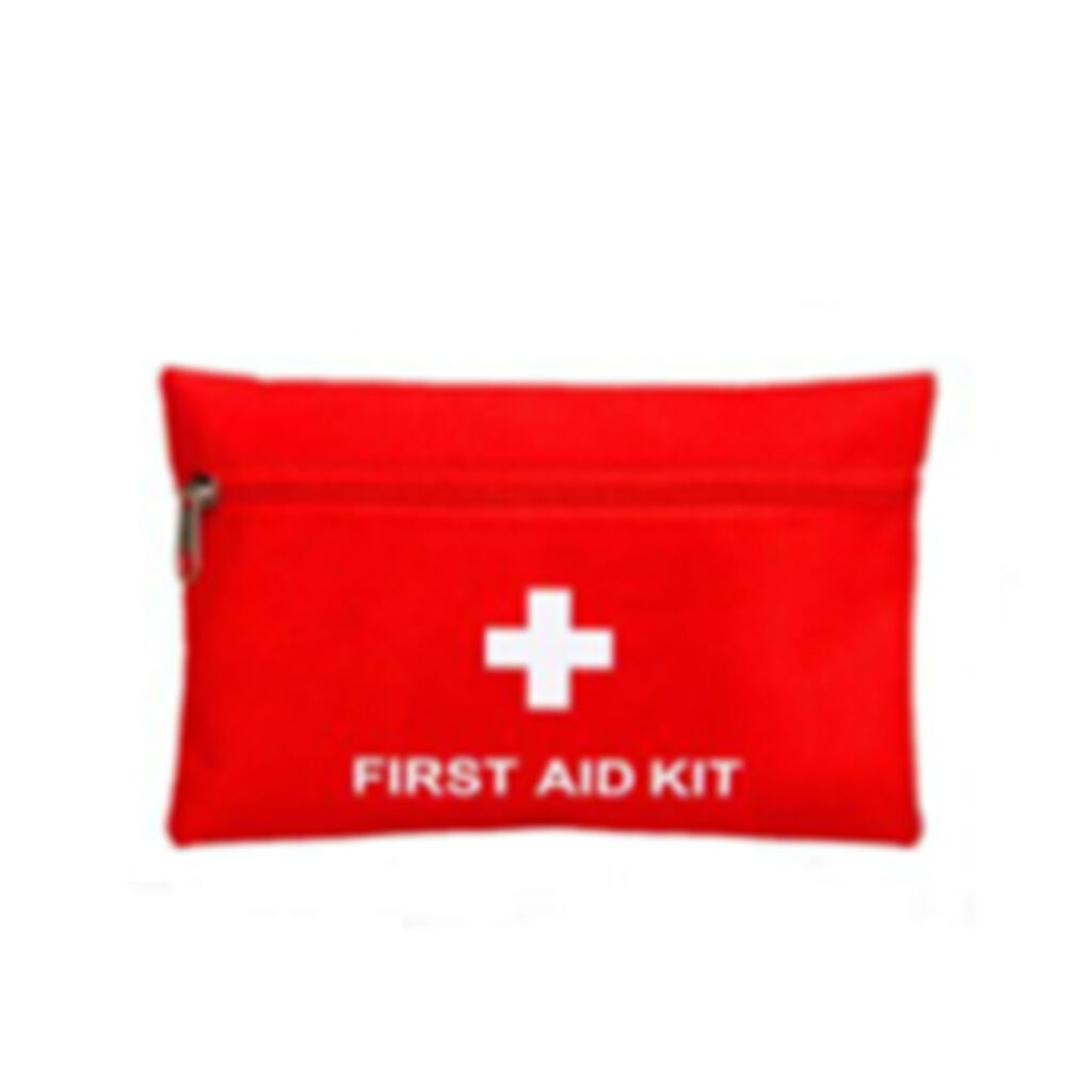 Basic Mini First Aid Kit